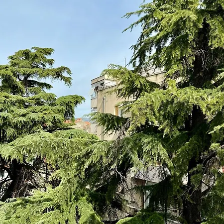 Jardin * Split
