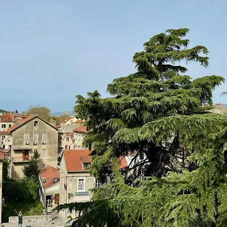 Maison d'hôtes Jardin Split